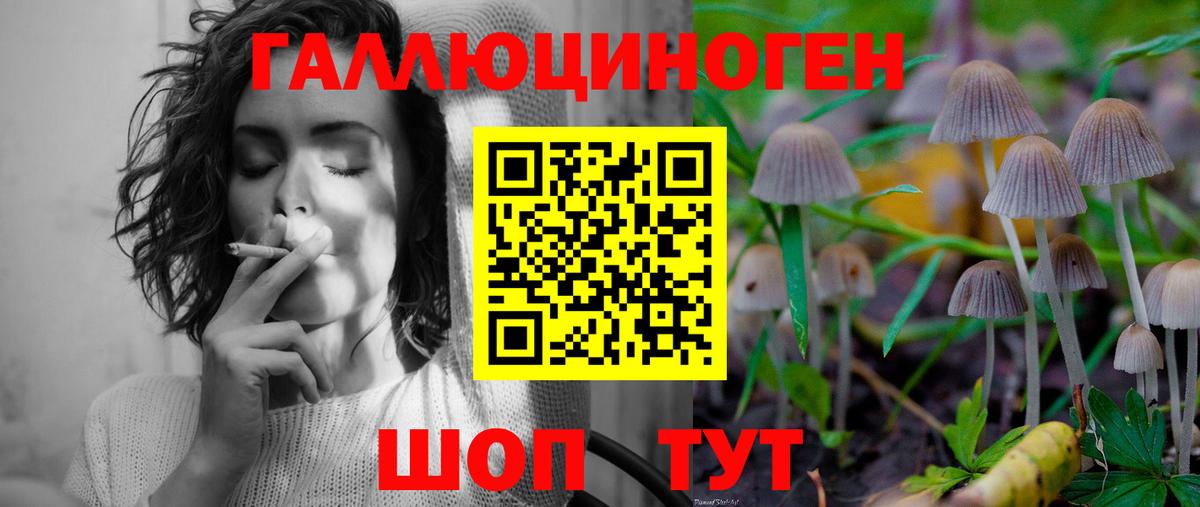 Сергиев Посад  Галлюциногенные грибы GOLDEN TEACHER  Галлюциногенные грибы MAGIC MUSHROOMS  Вход с VPN 