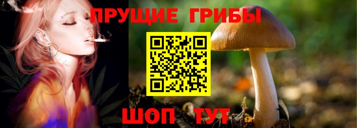 Галлюциногенные грибы Cubensis Сергиев Посад
